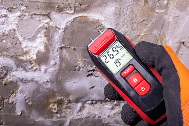 Best Mold Damage Repair  in Good Hope, AL