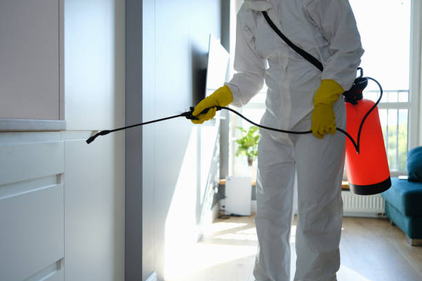 Best Attic Mold Removal  in Good Hope, AL