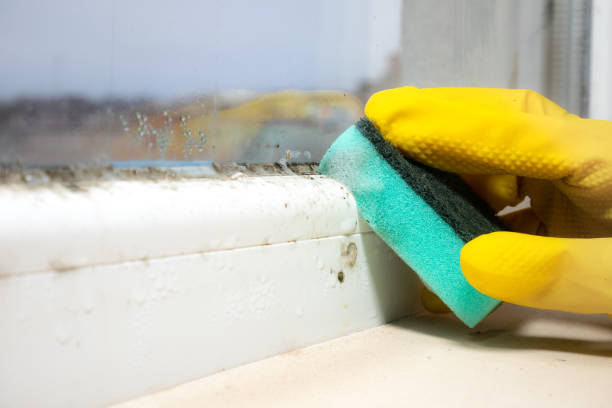 Best Crawl Space Mold Removal  in Good Hope, AL