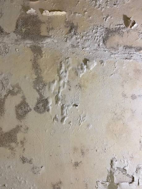 Best Office Mold Removal Services  in Good Hope, AL