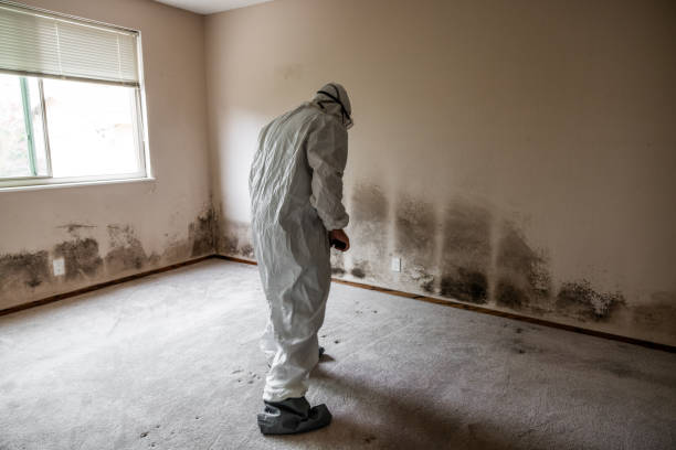 Best Residential Mold Removal  in Good Hope, AL